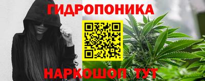 гашиш Аргун