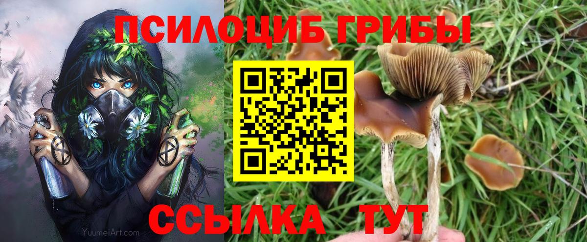 Псилоцибиновые грибы Cubensis Саров