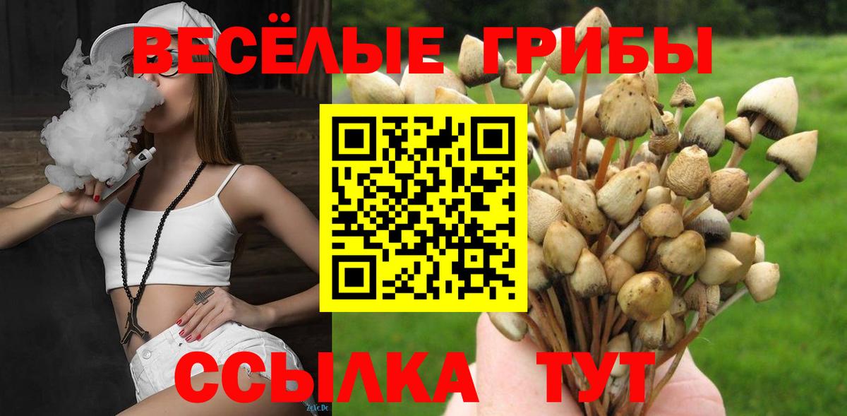Саров  Галлюциногенные грибы Magic Shrooms  Вход с VPN  Галлюциногенные грибы MAGIC MUSHROOMS 