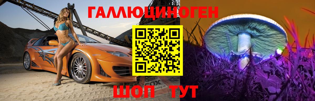 Галлюциногенные грибы Psilocybe Саров